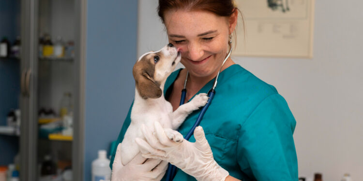 zoonosis